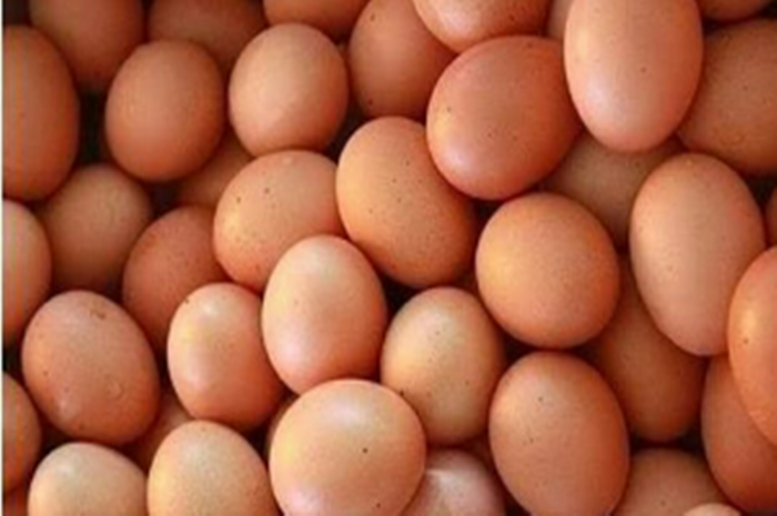 Harga telor makin melambung, bahan pangan ayam langka jadi penyebabnya