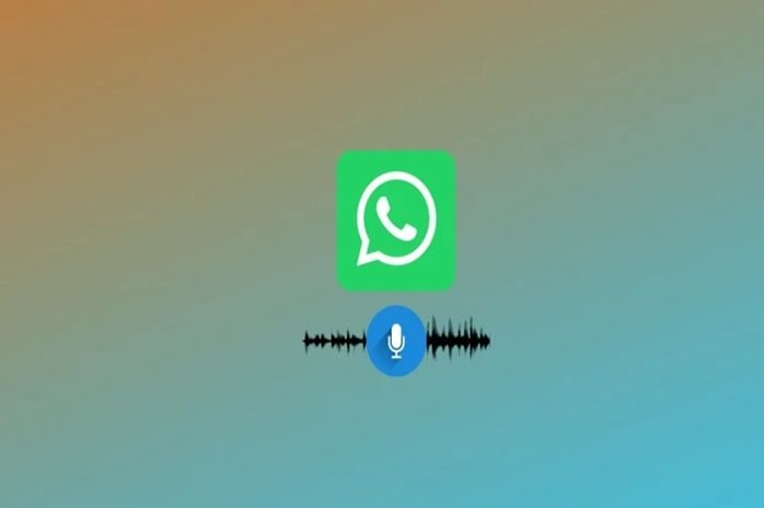 Voice Note Whatsapp