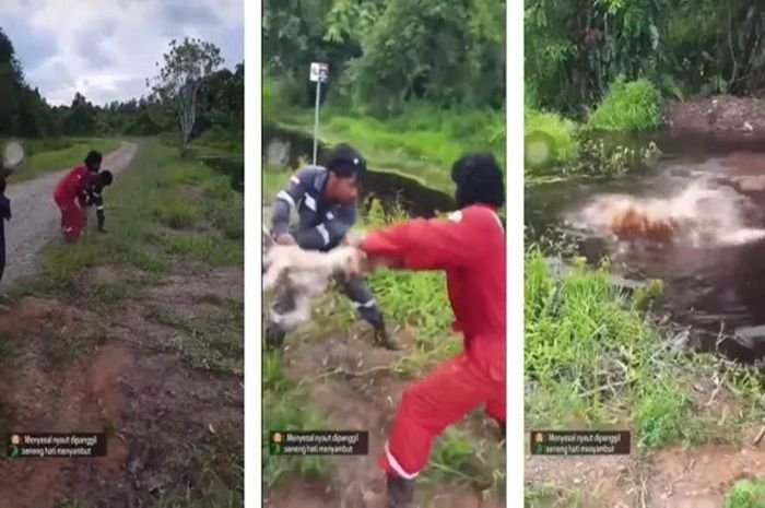 Aksi keji melemparkan anjing ke sungai di Nunukan, Kalimantan Utara