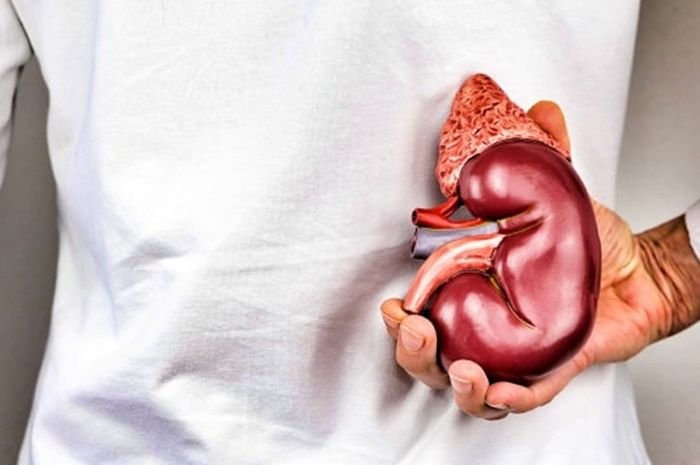 Ilustrasi penjualan organ tubuh