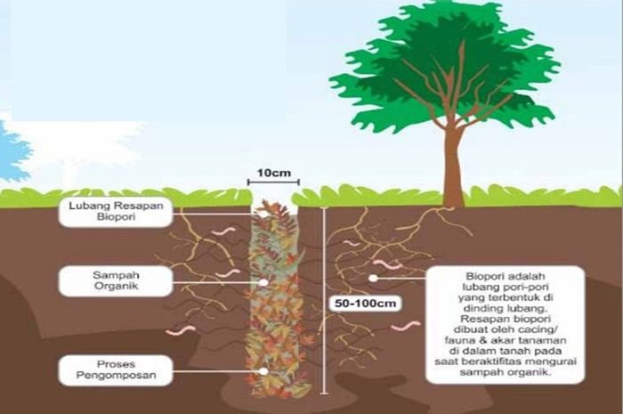 Pembuatan biopori yang mudah dan murah