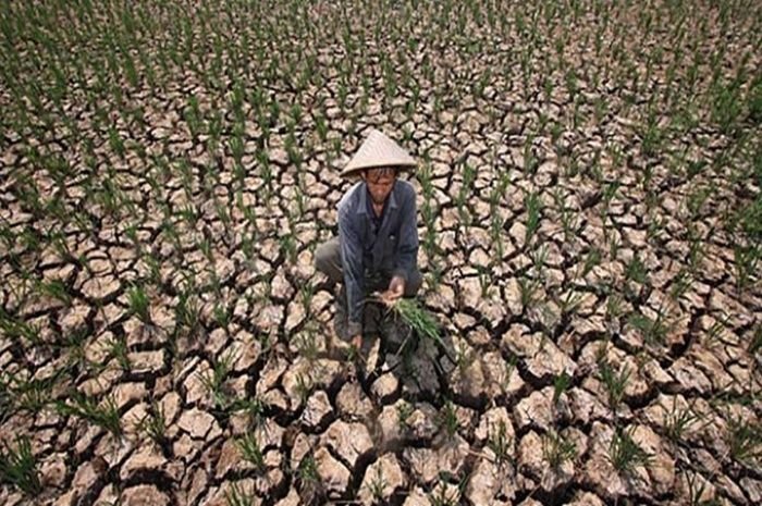 Kekeringan akibat dampak fenomena El Nino
