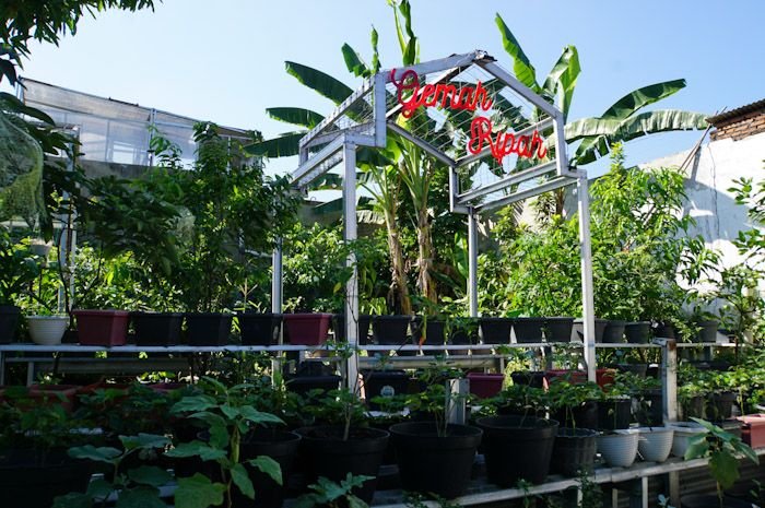 Kebun Gemah Ripah Kampung Sayur Bausasran, Danurejan, Kota Jogja