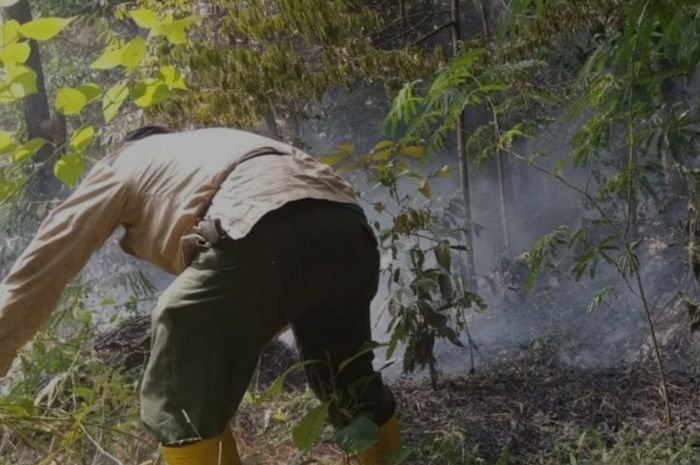 Petugas melakukan upaya pemandaman kebakaran hutan