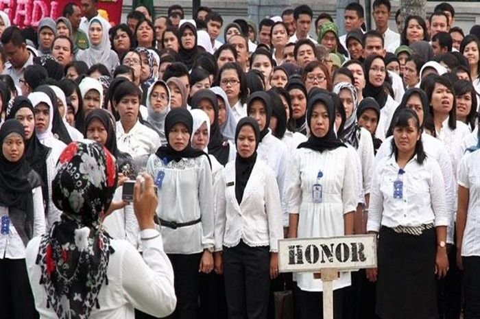 Ilustrasi tenaga honorer